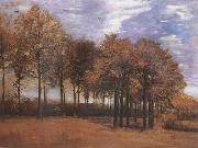 Vincent Van Gogh Autumn Landscape (nn04) Germany oil painting reproduction